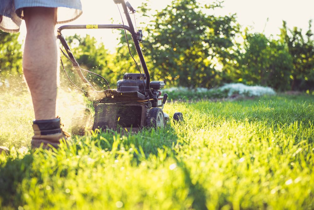 ていねいに刈り上げ